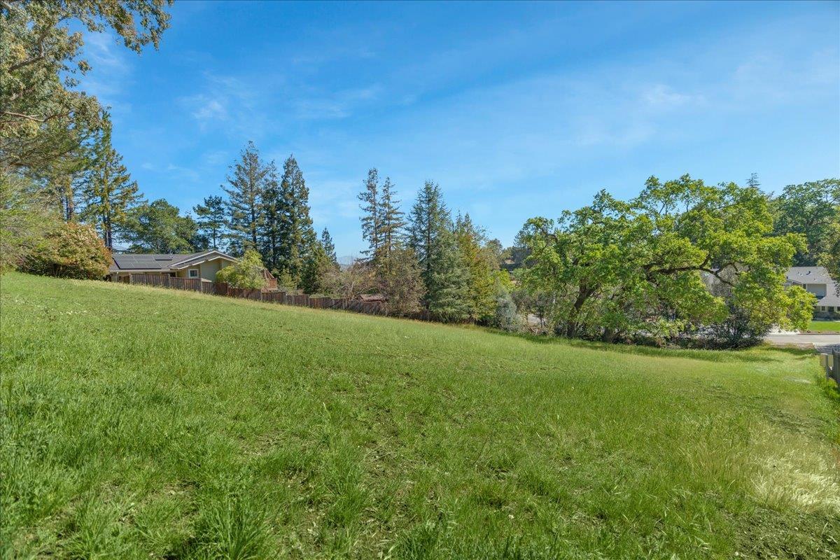 0 Echo Loop San Jose, CA 95120 - Photo 14 of 26 a view of a field with trees in the background