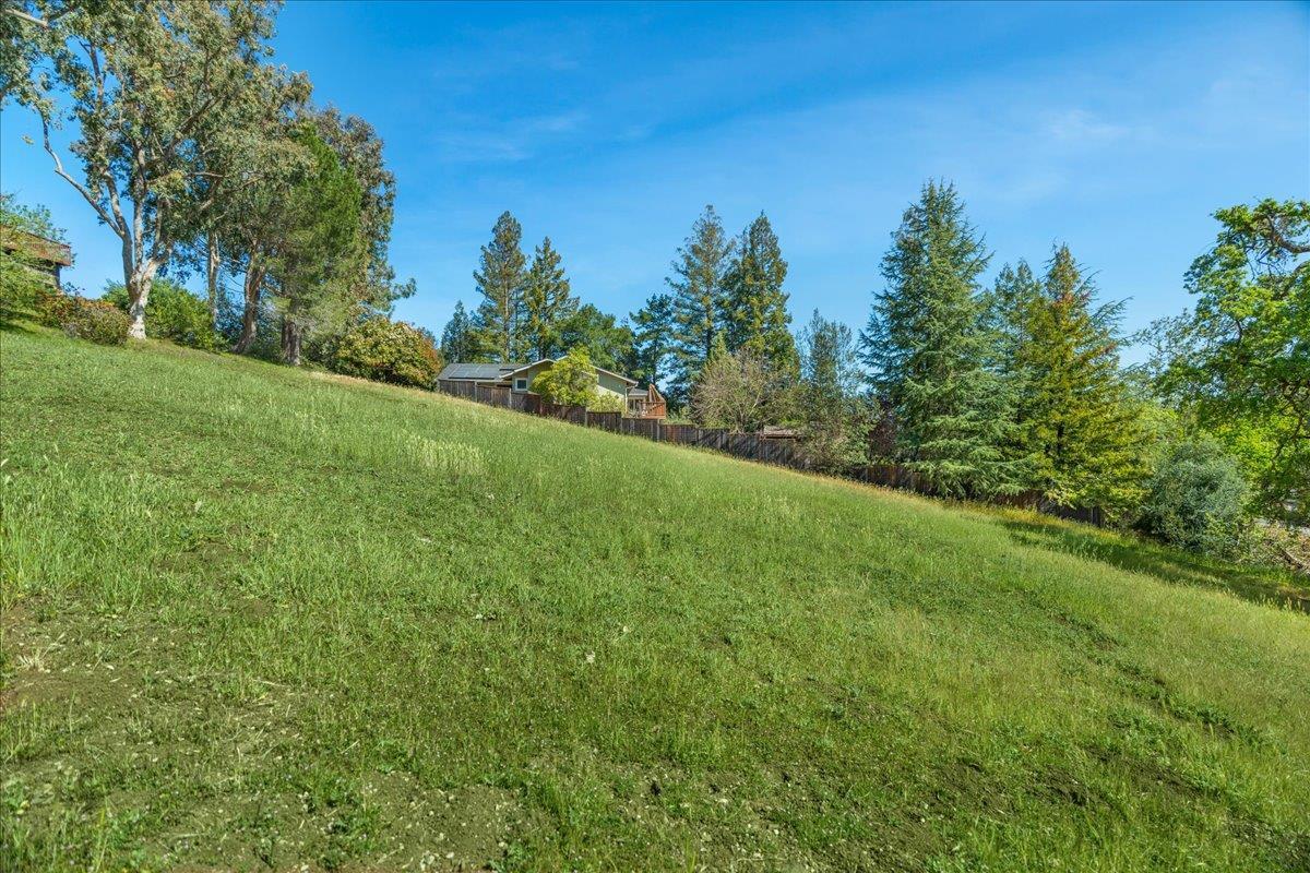 0 Echo Loop San Jose, CA 95120 - Photo 15 of 26 a view of a yard with a tree