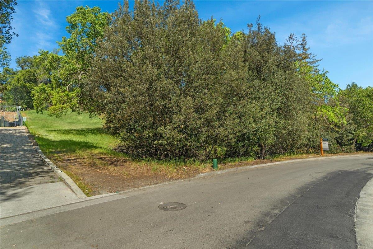0 Echo Loop San Jose, CA 95120 - Photo 19 of 26 a view of a road with a yard