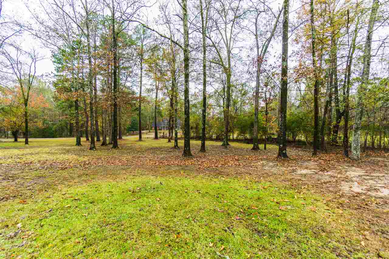 142 Pinedale Road Terry, MS 39170 - Photo 4 of 39 Photo 4