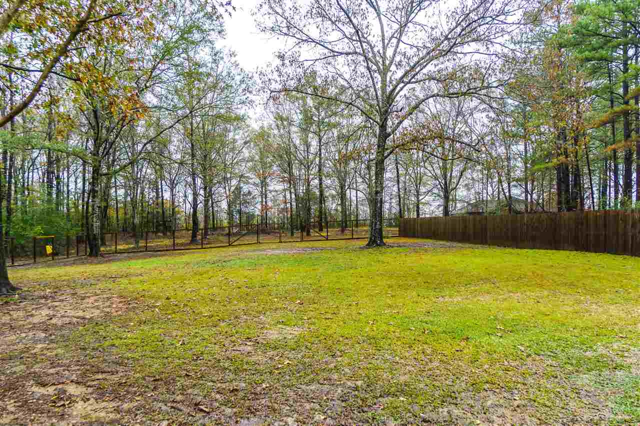 142 Pinedale Road Terry, MS 39170 - Photo 5 of 39 Photo 5
