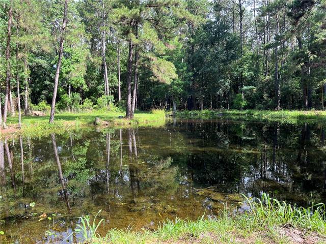 76081 Green Valley Road Folsom, LA 70437 - Photo 4 of 10