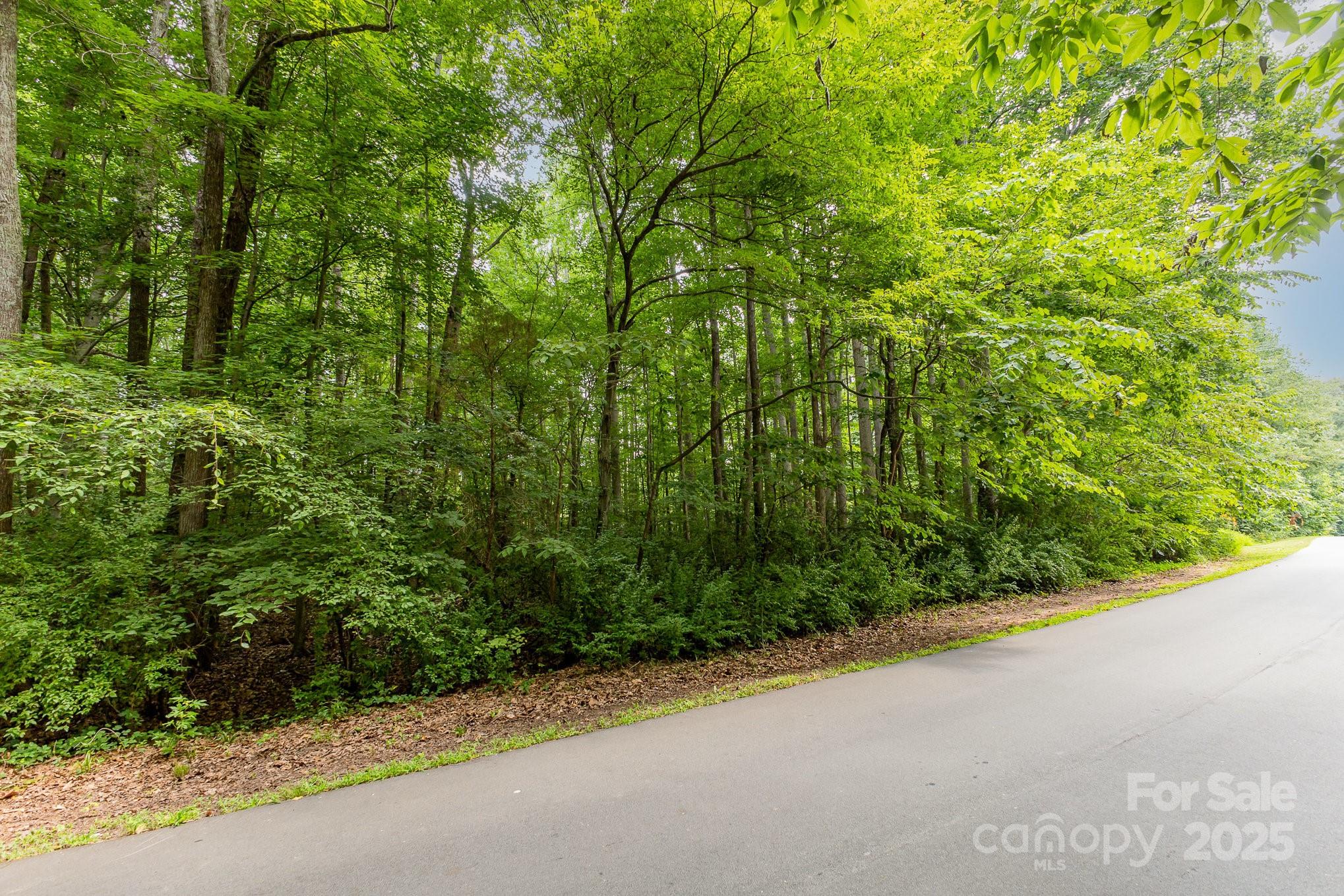 0 Rufus Ratchford Road Gastonia, NC 28056 - Photo 14 of 14