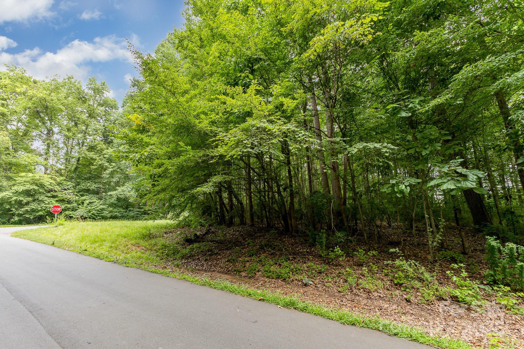 0 Rufus Ratchford Road Gastonia, NC 28056 - Photo 2 of 14