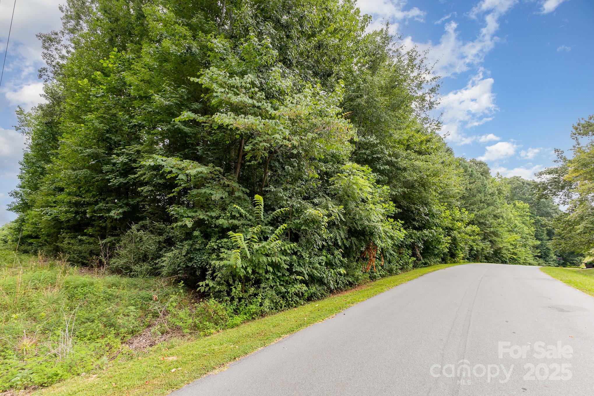 0 Rufus Ratchford Road Gastonia, NC 28056 - Photo 3 of 14