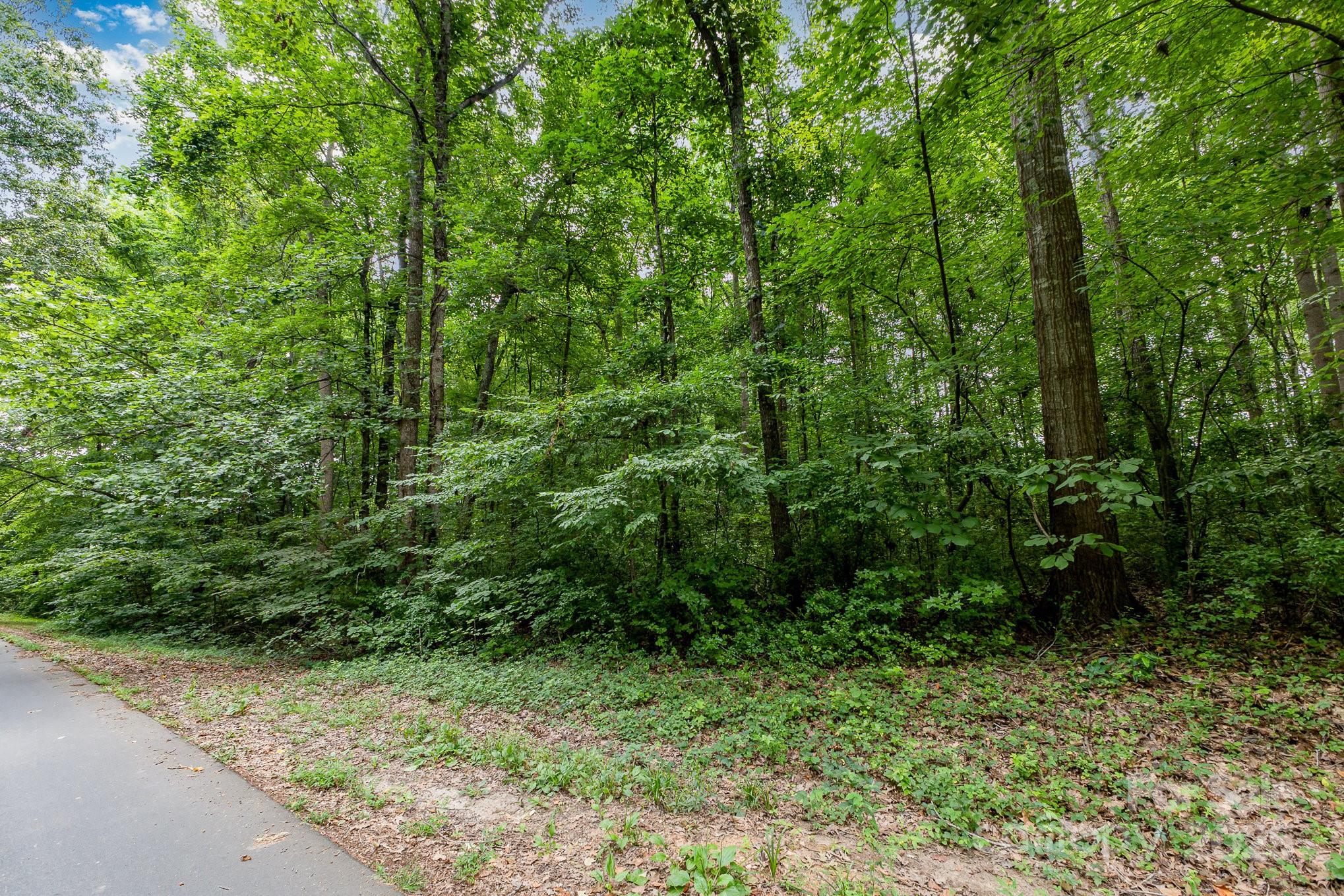 0 Rufus Ratchford Road Gastonia, NC 28056 - Photo 4 of 14
