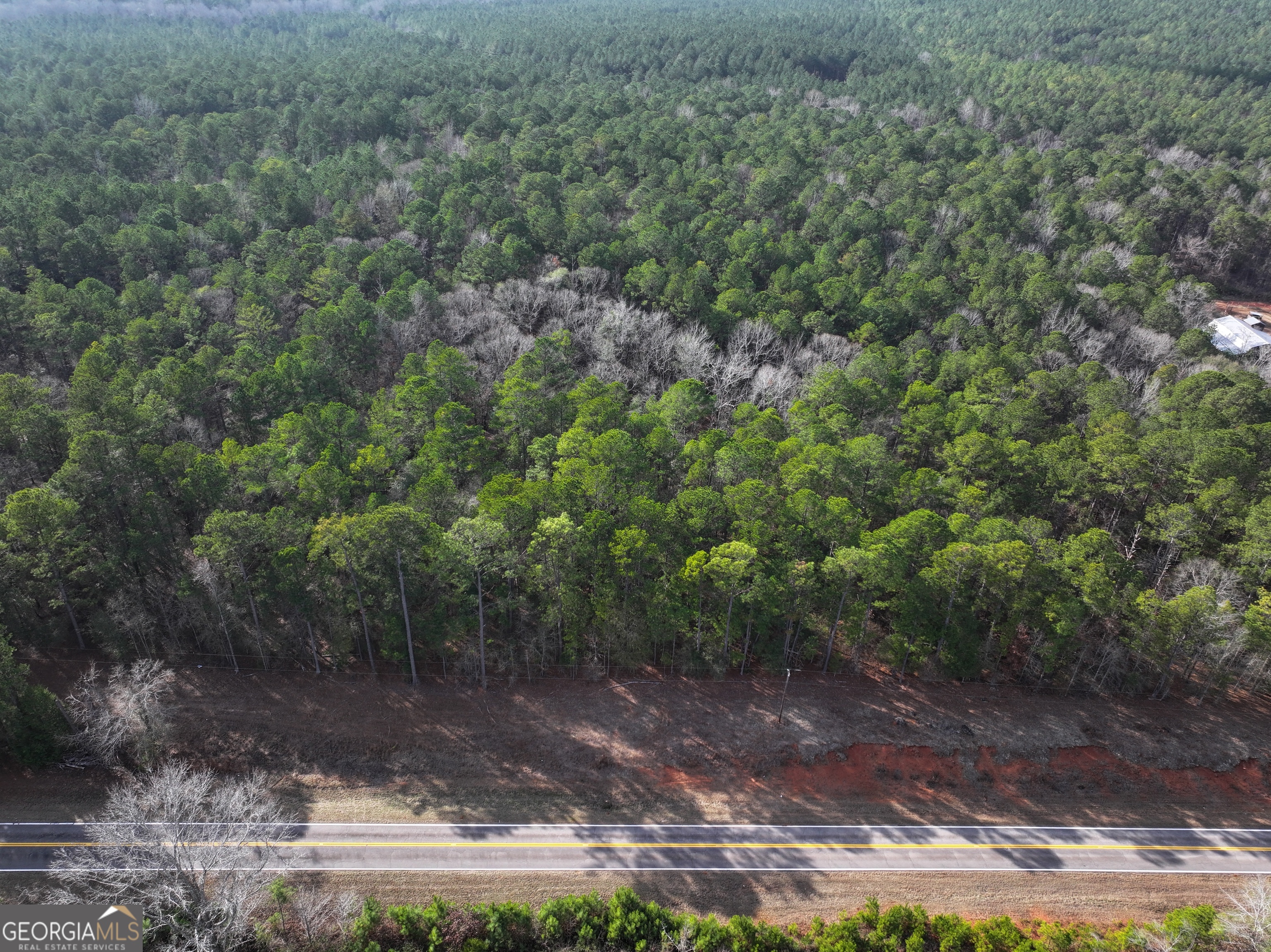 0 Salem Road Pine Mountain, GA 31822 - Photo 1 of 1 a view of a yard with a tree