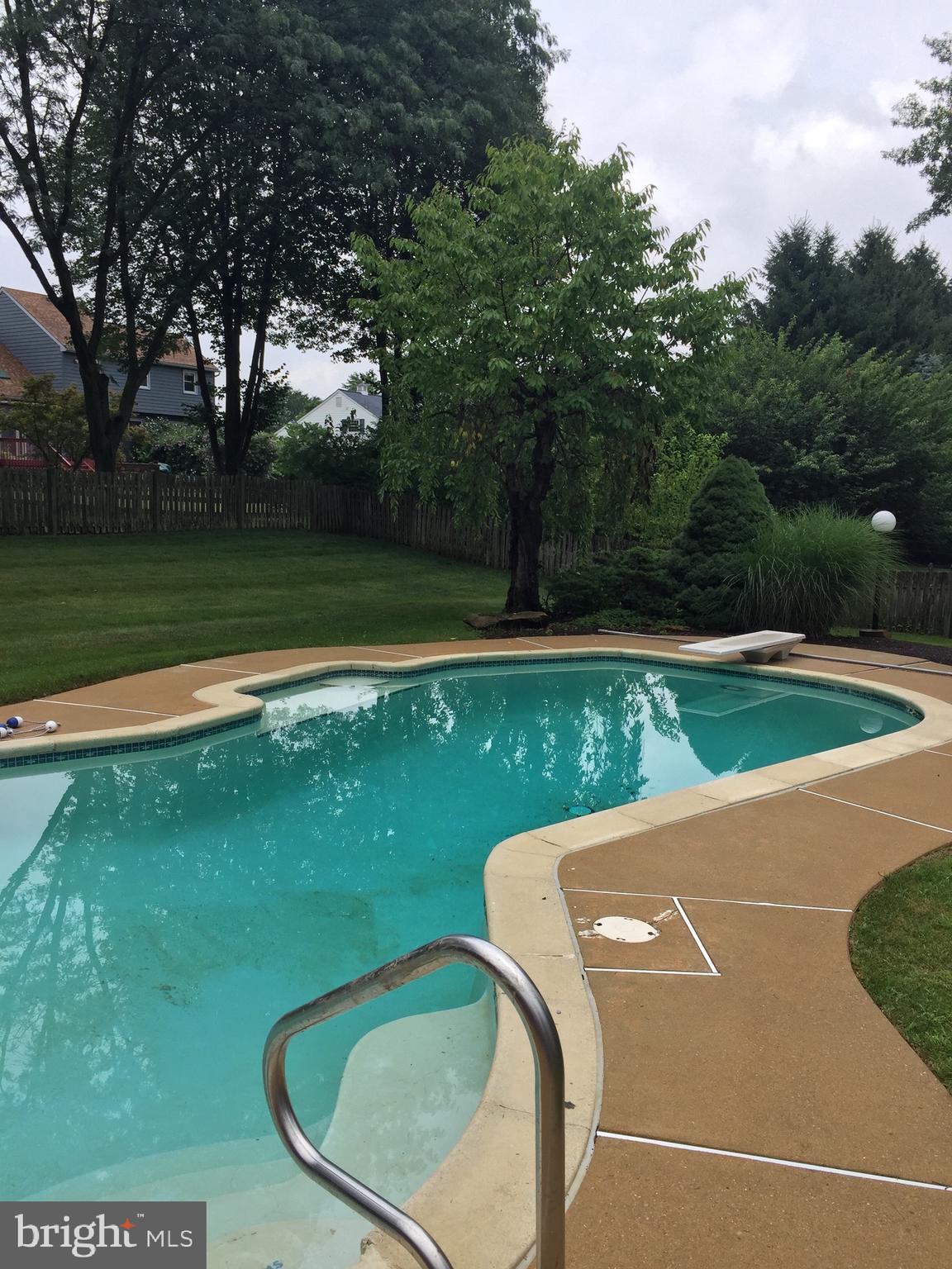 213 Ravenwood Road Exton, PA 19341 - Photo 17 of 56 Take a dip!