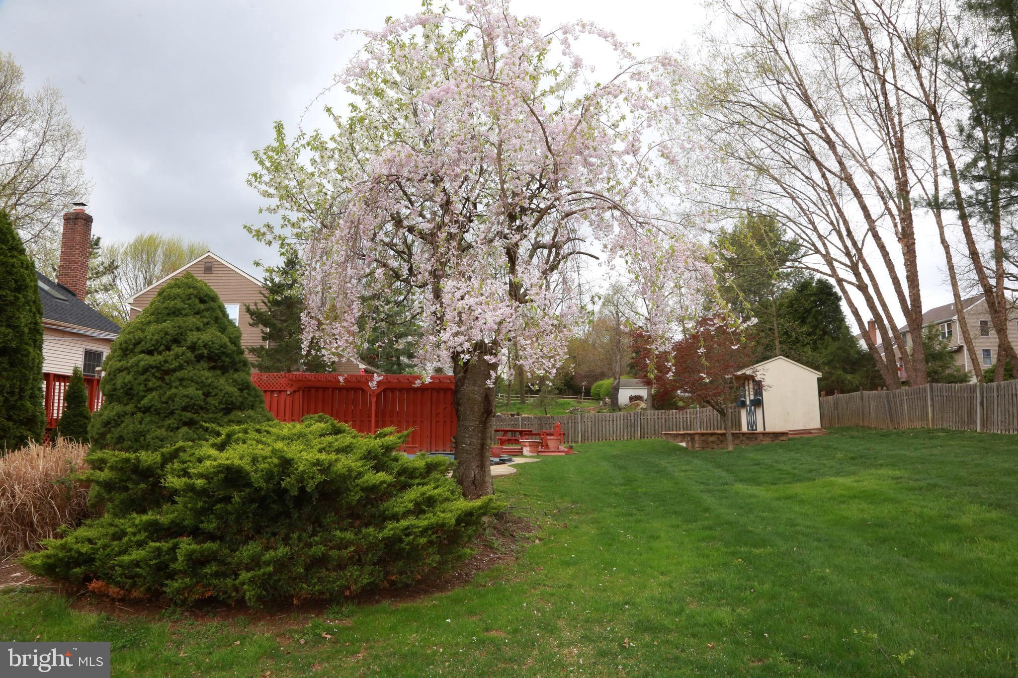 213 Ravenwood Road Exton, PA 19341 - Photo 5 of 56 Beautiful back yard and landscaping
