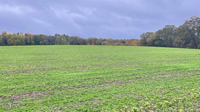 3 John Anderson Road Medon, TN 38356 - Photo 27 of 30 IMG_2831