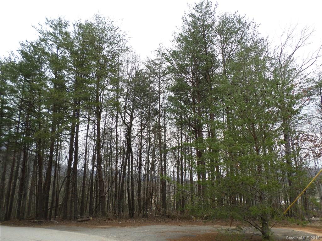 0 Pittman Road Landrum, SC 29356 - Photo 2 of 2 Gallery Image 2