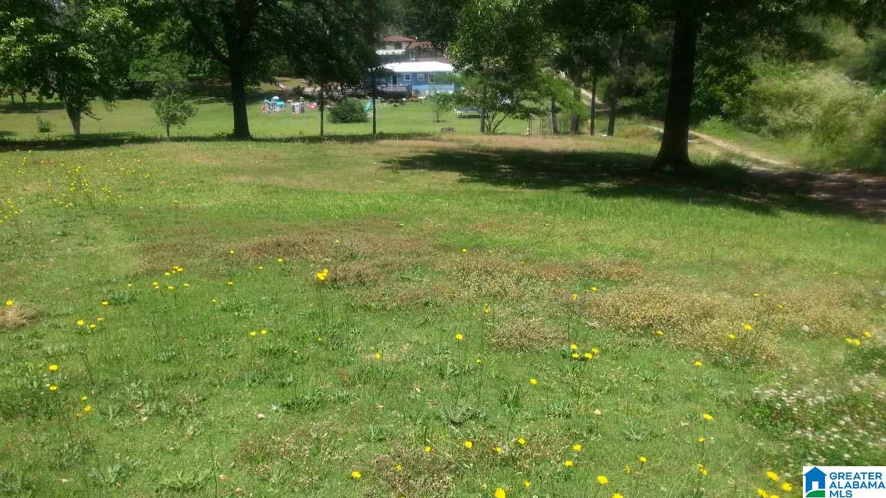 729 Cove Access Road Talladega, AL 35160 - Photo 5 of 12