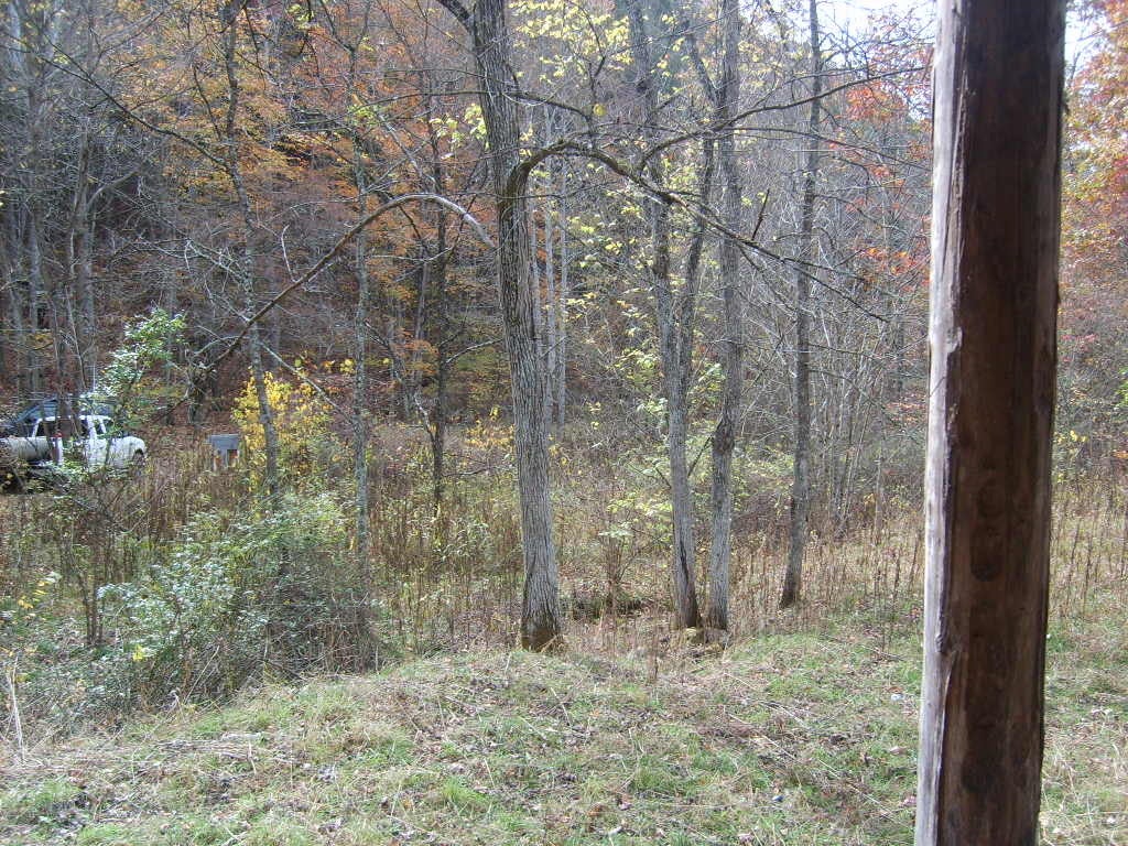 Valley Heights Road Alderson, WV 24910 - Photo 12 of 16 Please don't go on.