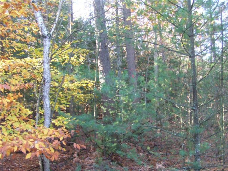 12035 North Anderson Road Manistee, MI 49660 - Photo 18 of 21 Additional Photo