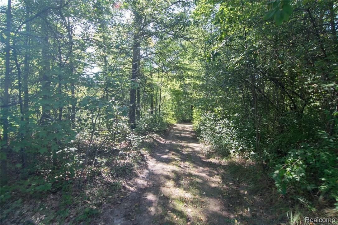 8127 Marsh Road Algonac, MI 48001 - Photo 61 of 68 DSC_0091.jpg