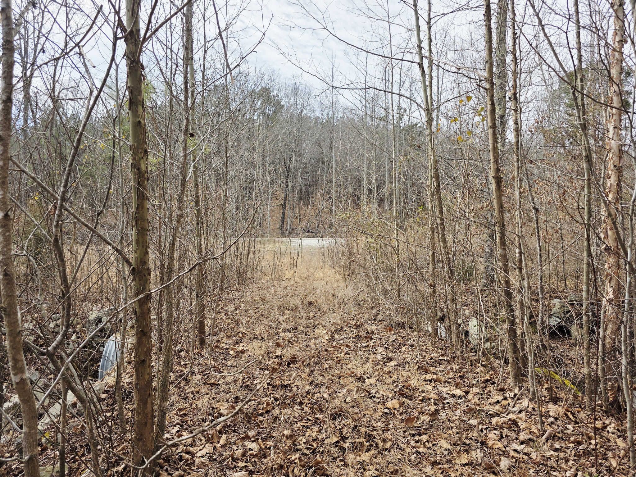 0 Birdsong Road Holladay, TN 38341 - Photo 15 of 70
