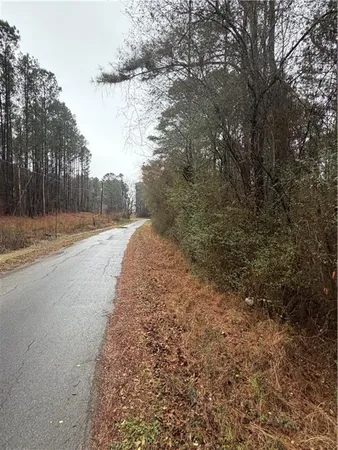 a view of dirt yard with large trees