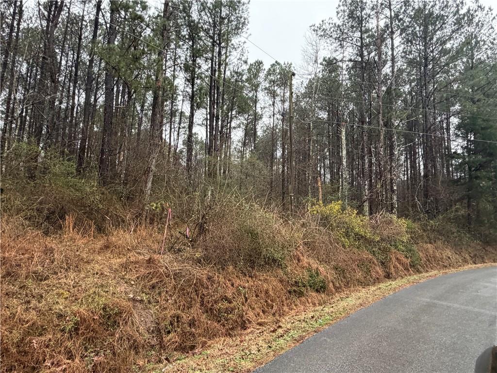 0 Dry Creek/edwards Road Cedartown, GA 30125 - Photo 11 of 11