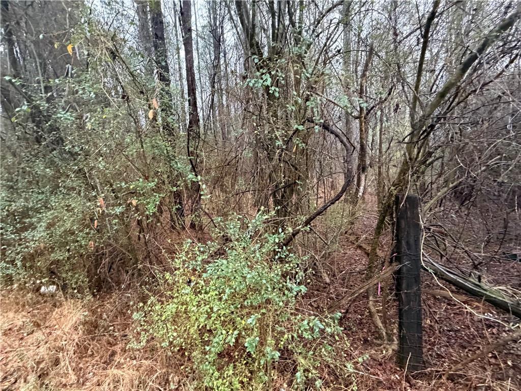 0 Dry Creek/edwards Road Cedartown, GA 30125 - Photo 2 of 11