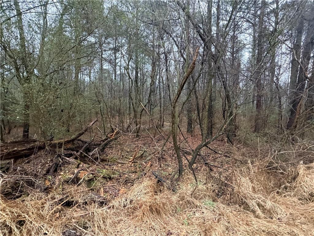0 Dry Creek/edwards Road Cedartown, GA 30125 - Photo 3 of 11