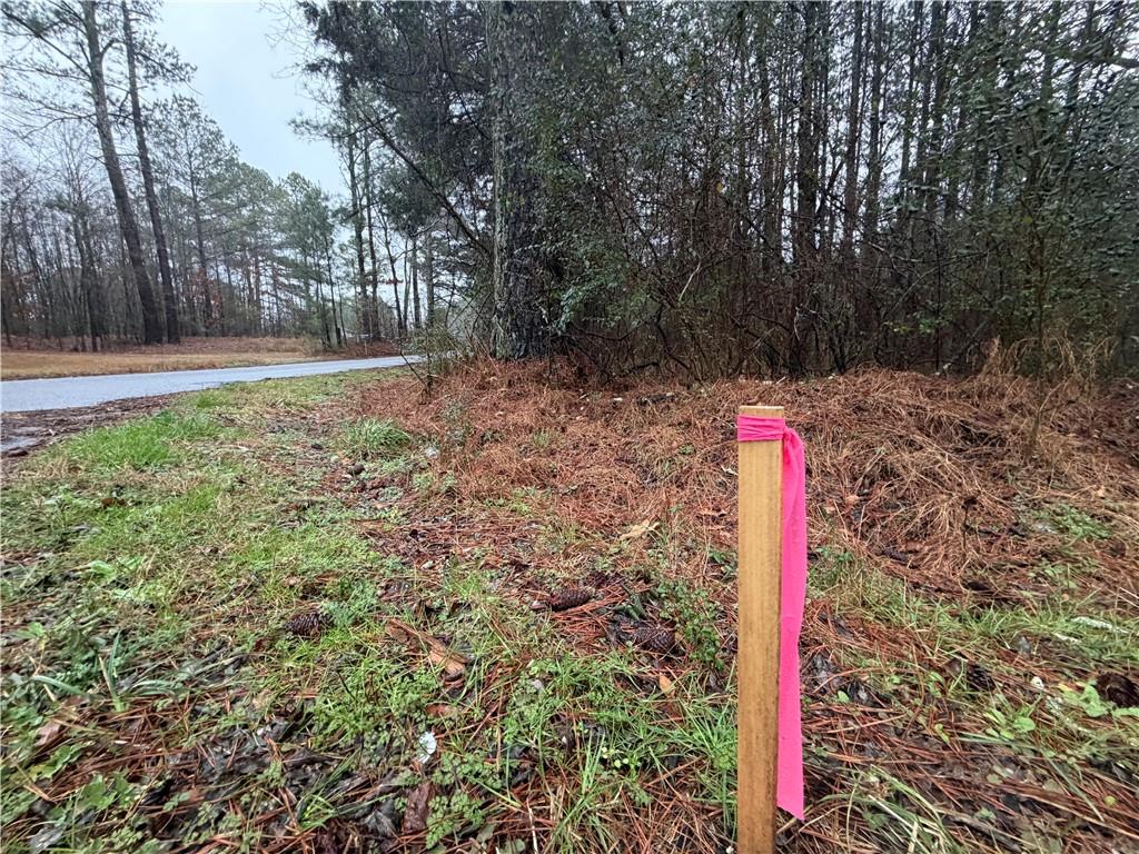 0 Dry Creek/edwards Road Cedartown, GA 30125 - Photo 4 of 11