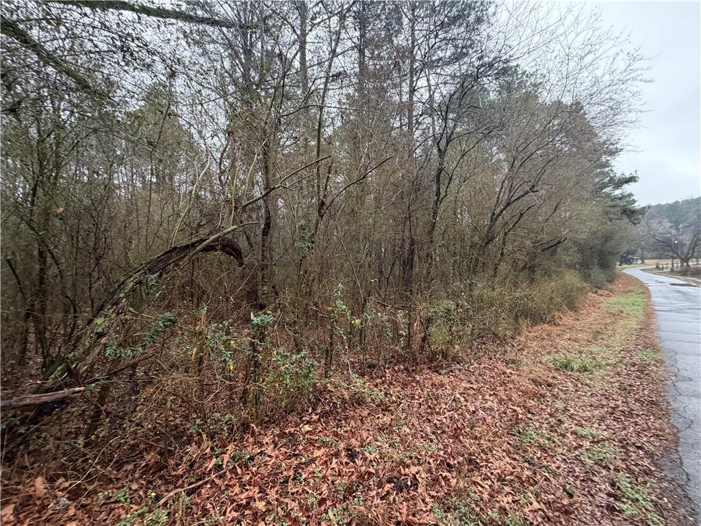 0 Dry Creek/edwards Road Cedartown, GA 30125 - Photo 5 of 11
