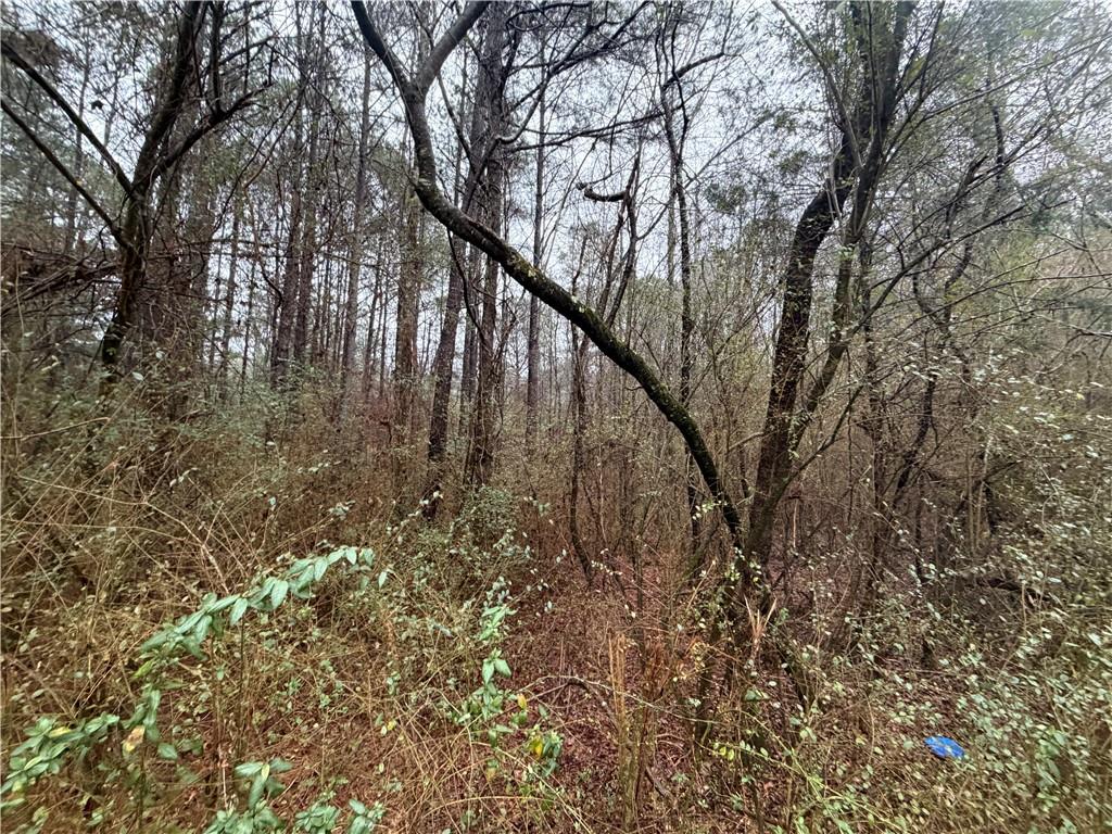 0 Dry Creek/edwards Road Cedartown, GA 30125 - Photo 6 of 11
