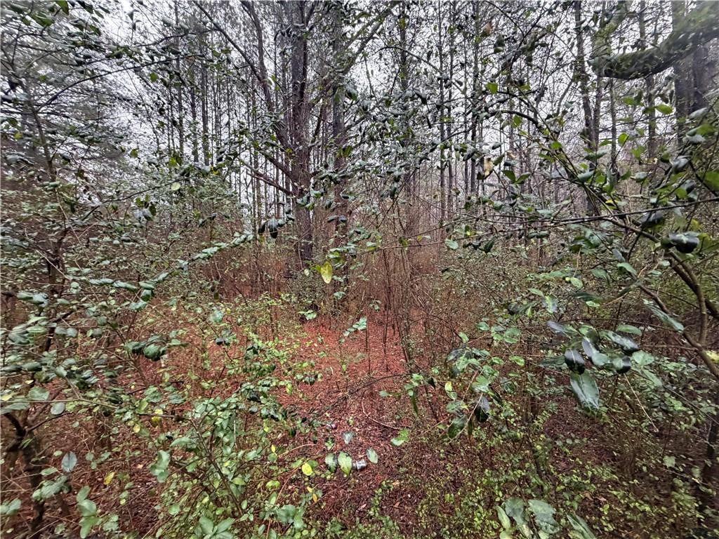 0 Dry Creek/edwards Road Cedartown, GA 30125 - Photo 7 of 11