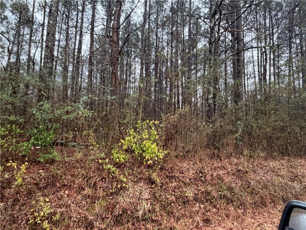 0 Dry Creek/edwards Road Cedartown, GA 30125 - Photo 10 of 11