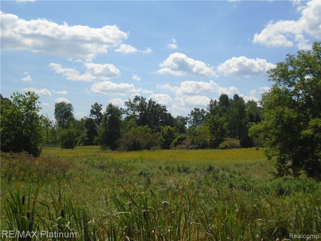 D 2 Germany Road Fenton, MI 48430 - Photo 20 of 27