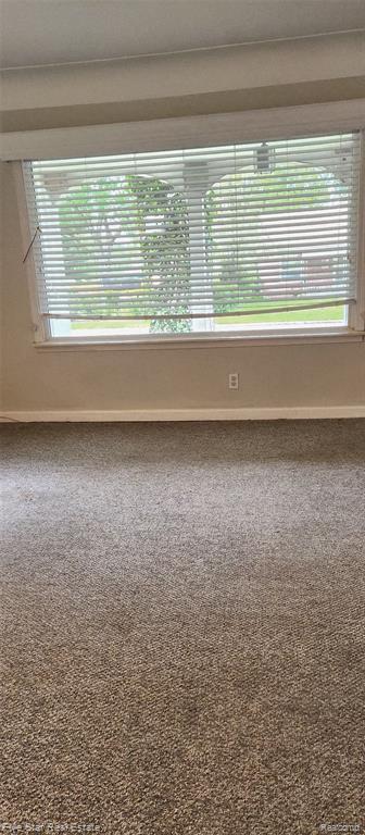 20120 Rensellor Street Livonia, MI 48152 - Photo 20 of 44 Gallery Image 20