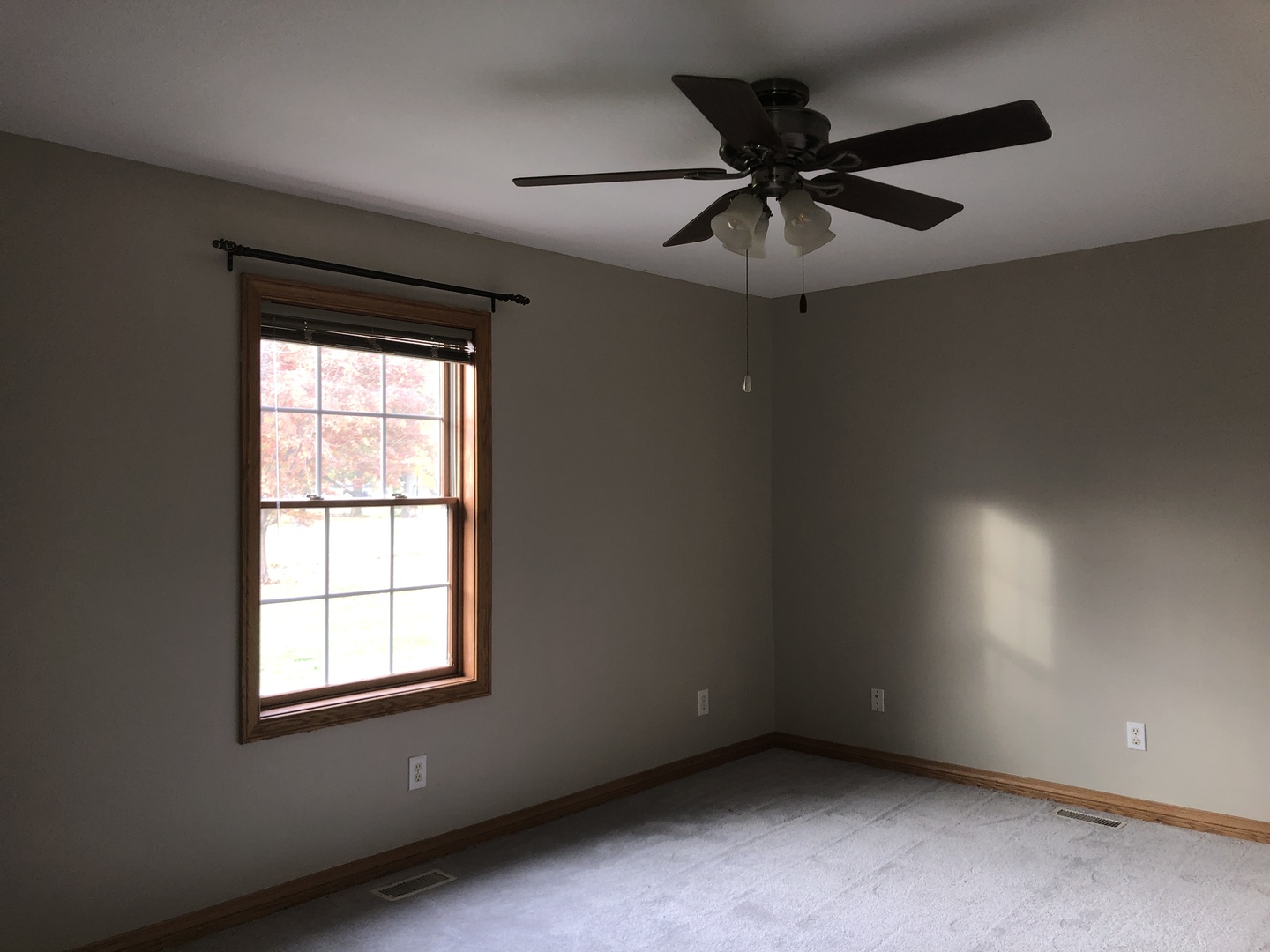 101 East Third Dewitt, IL 61735 - Photo 11 of 15 an empty room with a ceiling fan and window
