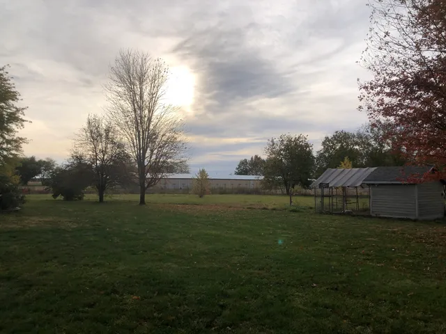 a view of a grassy field with trees