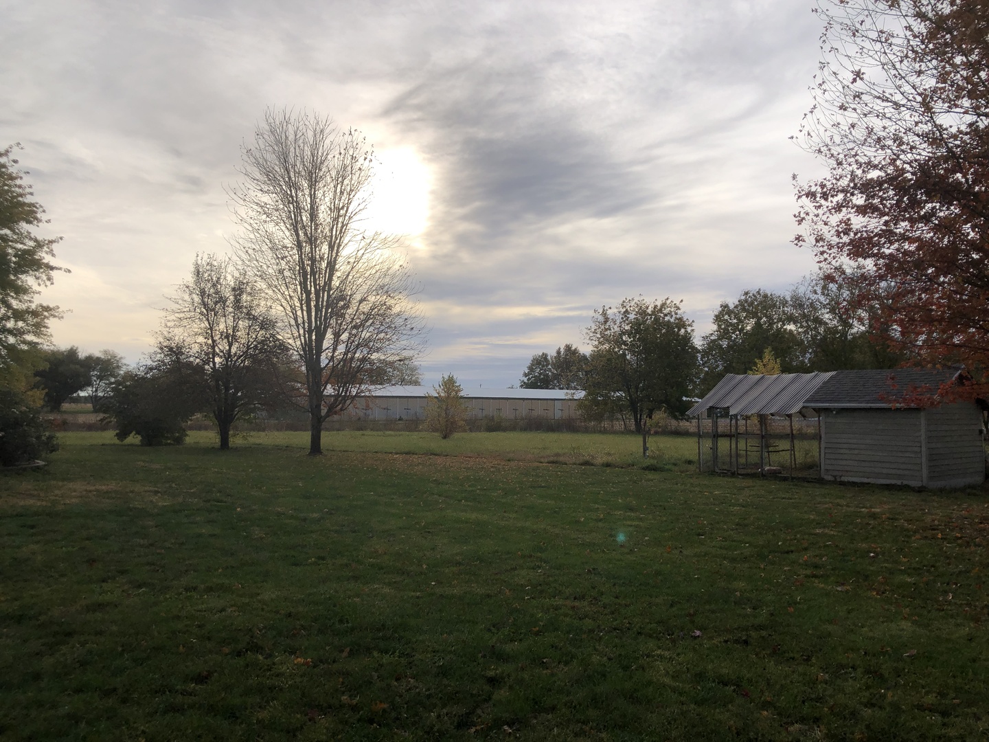 101 East Third Dewitt, IL 61735 - Photo 14 of 15 a view of a grassy field with trees