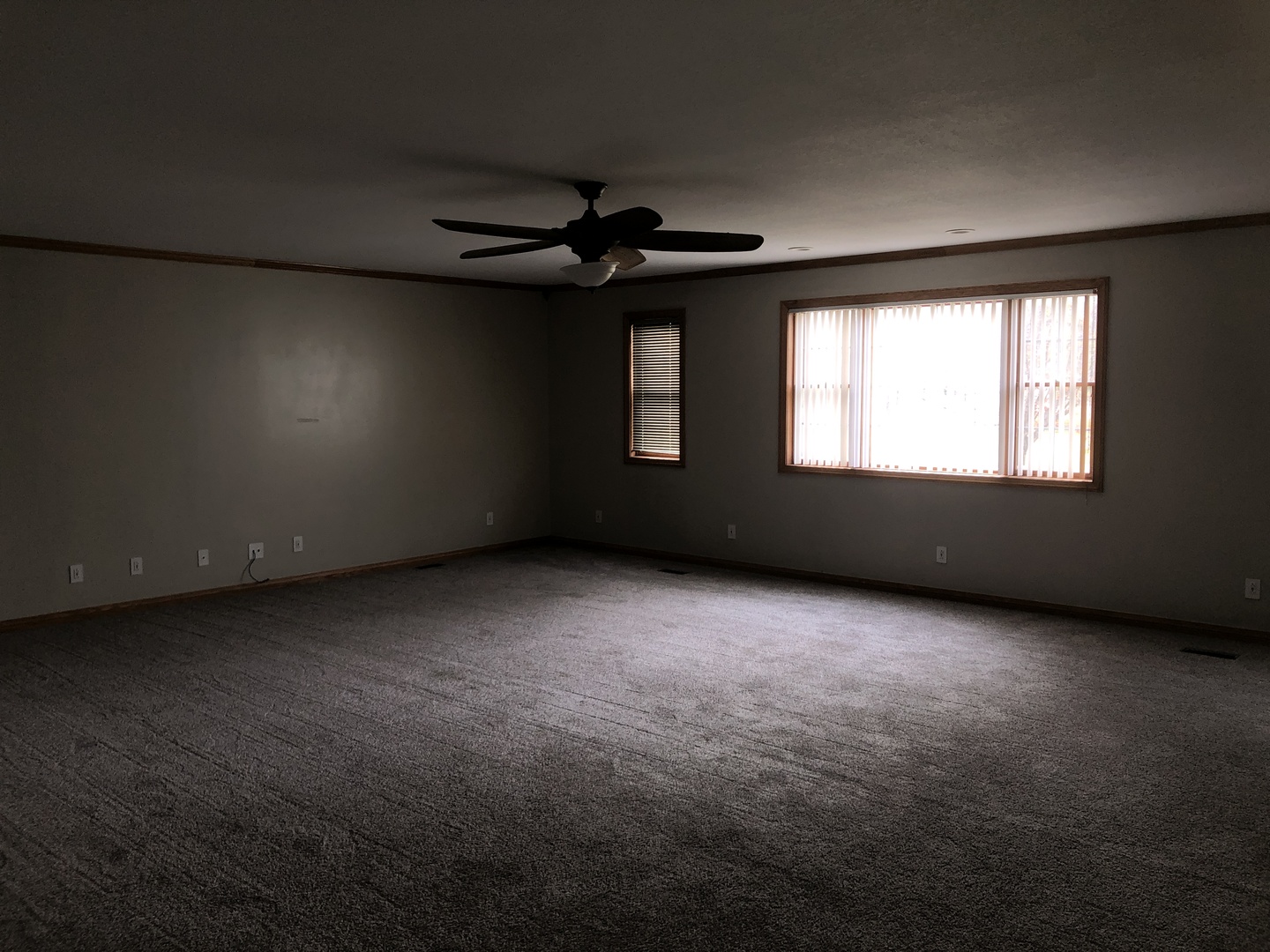 101 East Third Dewitt, IL 61735 - Photo 8 of 15 an empty room with windows and fan