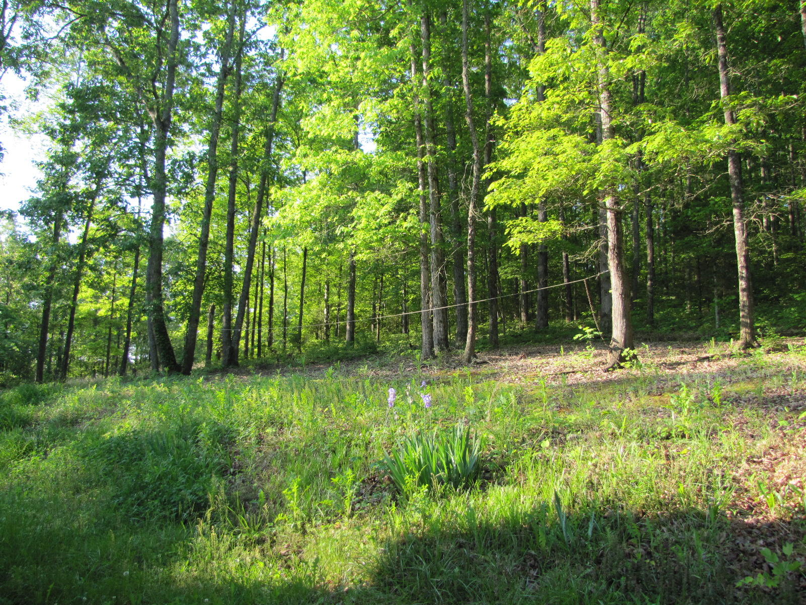 619 Hildabrand Road, Unit 16 Ocoee, TN 37361 - Photo 13 of 34 IMG_5228