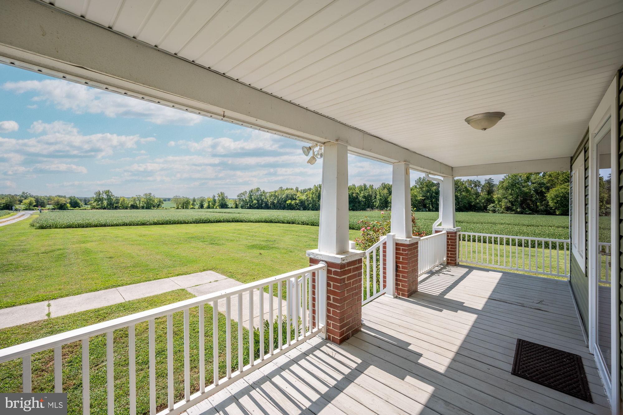 161 Forest Lane Road Fredericksburg, VA 22405 - Photo 10 of 99 Serene porch with expansive green views