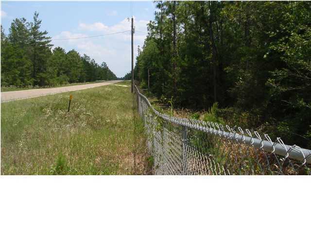 1583 Hinote Road DeFuniak Springs, FL 32433 - Photo 1 of 23 a black and white photo of a forest