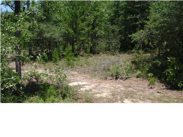 1583 Hinote Road DeFuniak Springs, FL 32433 - Photo 12 of 23 a black and white photo of a forest