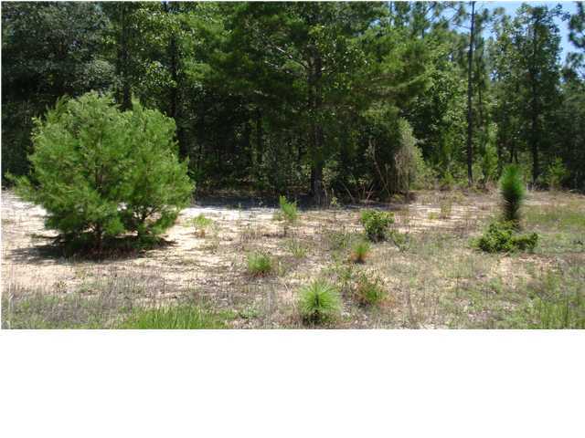 1583 Hinote Road DeFuniak Springs, FL 32433 - Photo 22 of 23 a view of a backyard