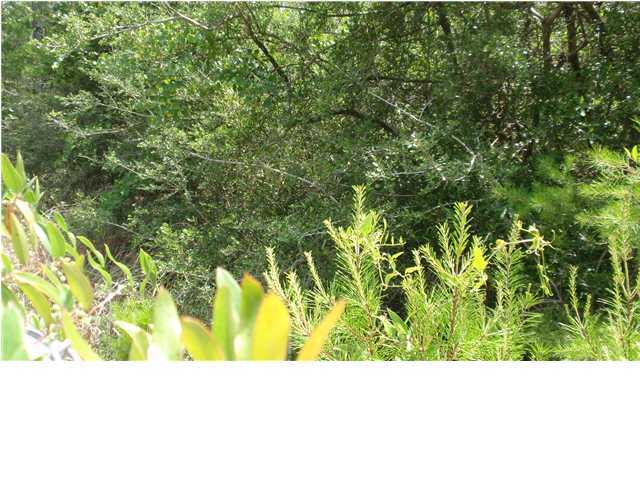 1583 Hinote Road DeFuniak Springs, FL 32433 - Photo 3 of 23 a open area with trees