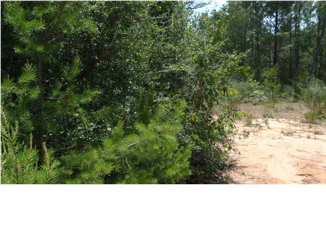 1583 Hinote Road DeFuniak Springs, FL 32433 - Photo 4 of 23 a open area with trees in the background