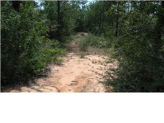 1583 Hinote Road DeFuniak Springs, FL 32433 - Photo 6 of 23 a black and white photo of a forest