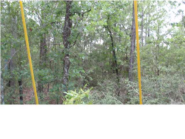 1583 Hinote Road DeFuniak Springs, FL 32433 - Photo 9 of 23 a black and white photo of a forest