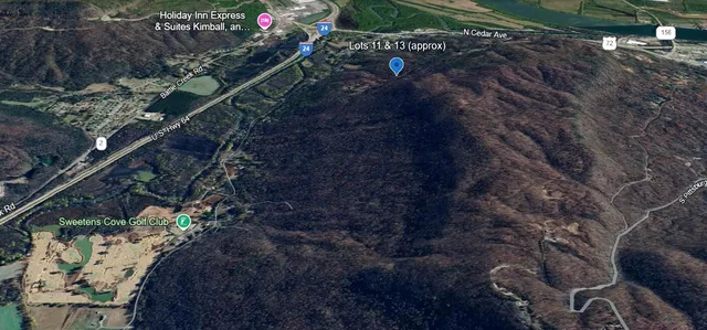 a view of banana tree