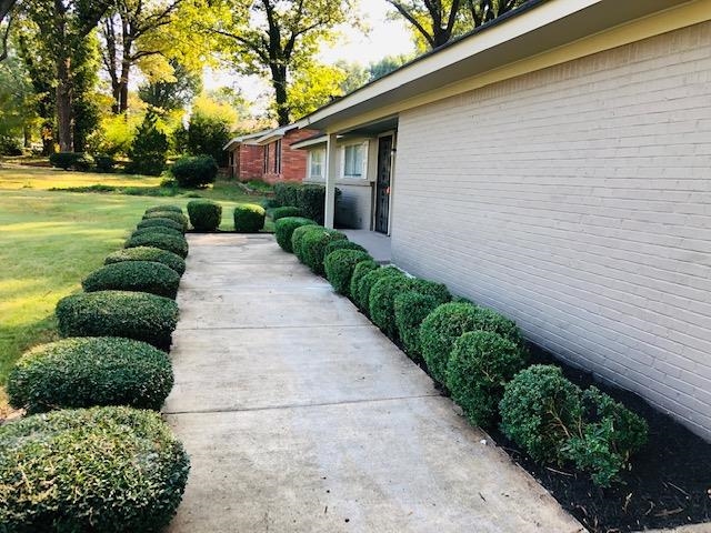 1381 Old Hickory Road Memphis, TN 38116 - Photo 8 of 24 a view of a garden with pathway