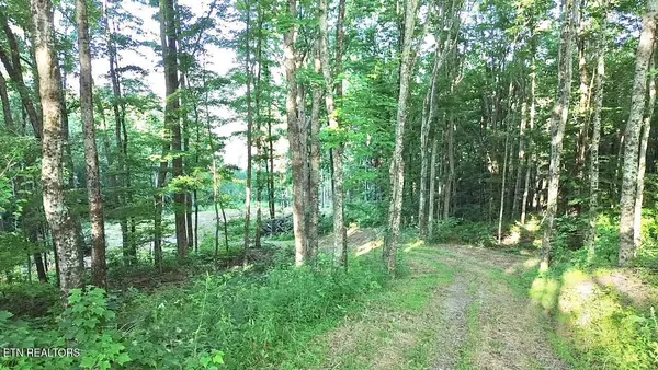 $119,000 | 183 Persimmon Lane, Pioneer, TN 37847