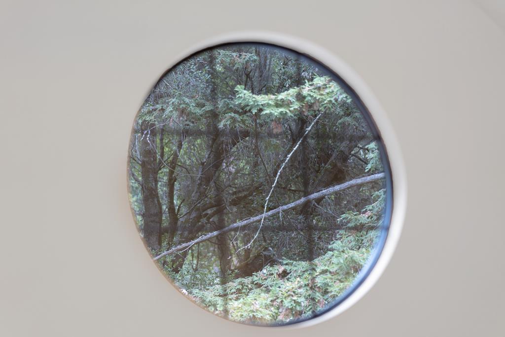835 Browns Valley Road Watsonville, CA 95076 - Photo 28 of 40 Gallery Image 28