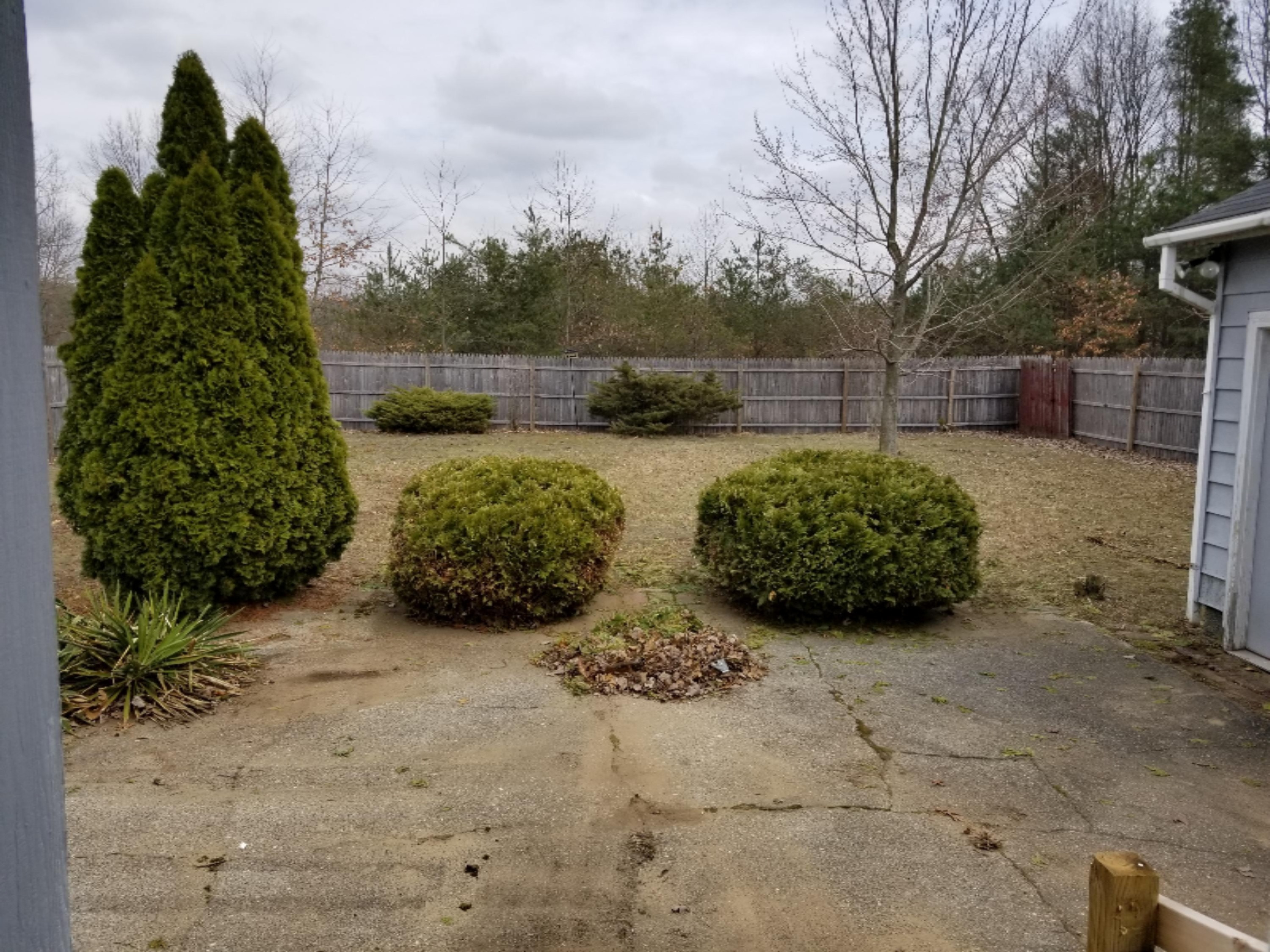 1688 Carr Road Muskegon, MI 49442 - Photo 6 of 20 20190406_153637