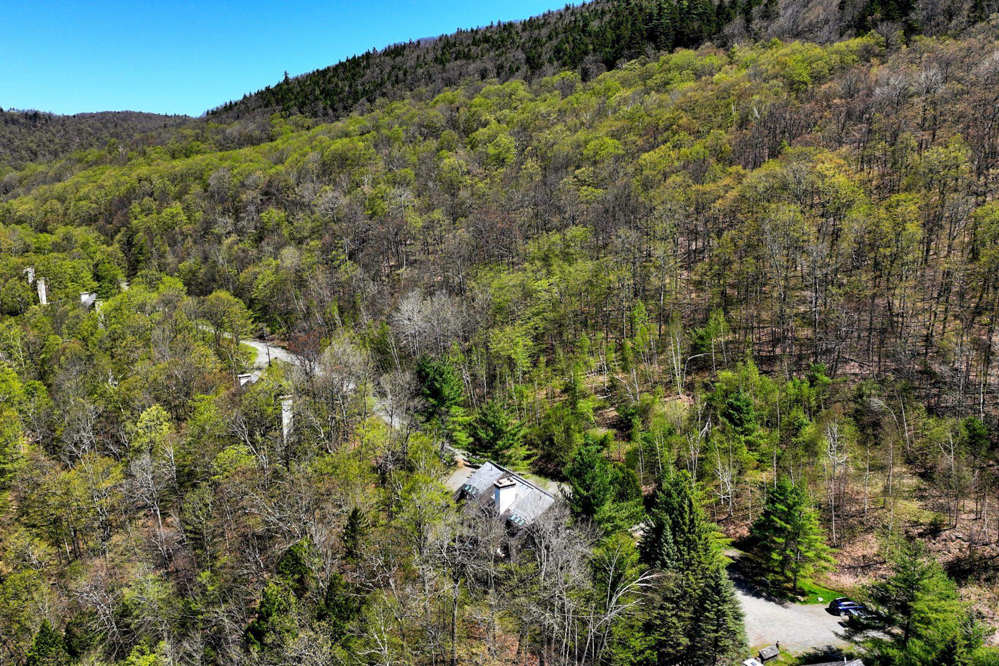 1226 East Ash Road, Unit L33 Plymouth, VT 05056 - Photo 44 of 45